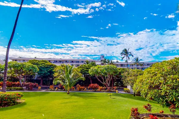 Wide Open Green Space To Unwind