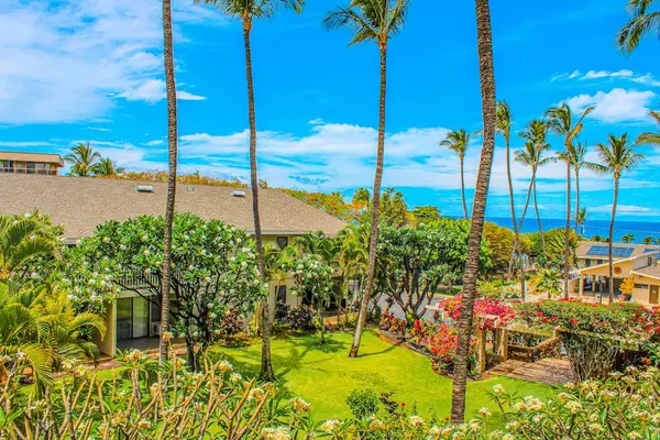 A Bird's-Eye View of Paradise
