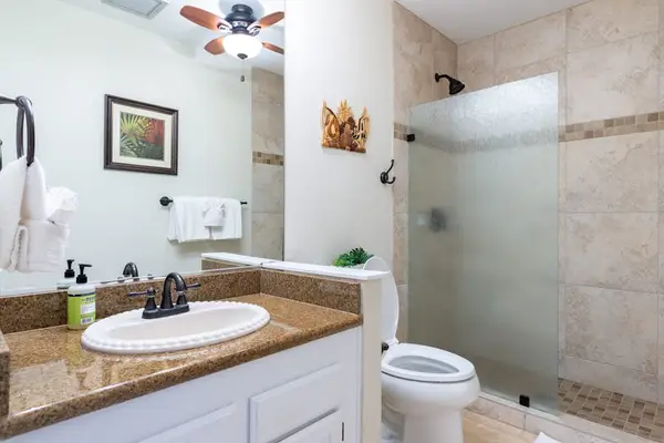 Full Bathroom Overview with Vanity & Walk-In Glass Shower