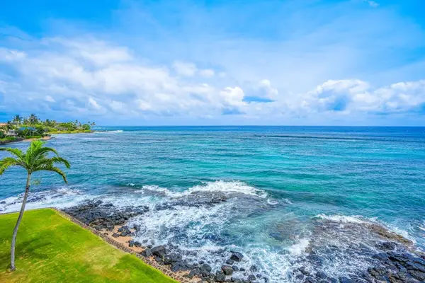 Your Front Row Seat To Paradise