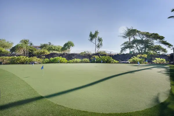 On-Site Golf Putting Green with Lush Tropical Surroundings