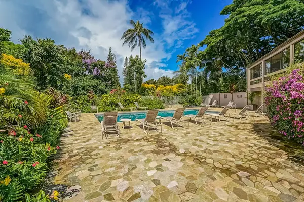 Lounge Poolside Beneath Swaying Palm Trees