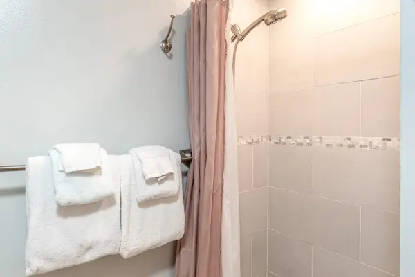 Bathroom Shower Area with Fresh Plush Towels and Curtains
