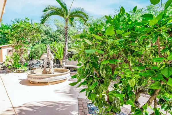 Lush Tropical Garden Courtyard