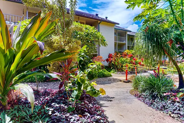 Charming pathways surrounded by tropical plants and lush greenery.