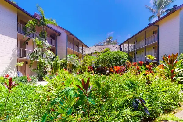 Beautiful interior garden bringing freshness and nature into the property.