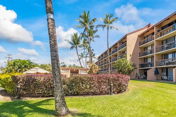 Palm-Lined Grounds Perfect For Island Strolls