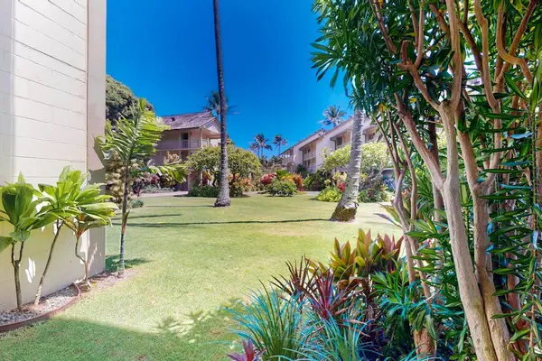 Lush Tropical Lawn Right Outside Your Door