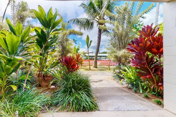 Tropical Garden Path Leading To Paradise