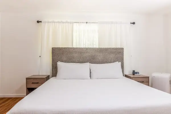 Dreamy Bedroom Filled With Natural Light