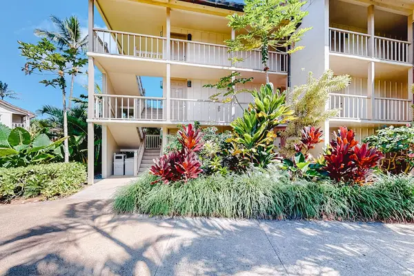 Your Tropical Escape Awaits