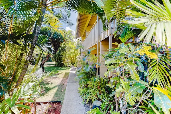 Palm Lined Garden Pathway