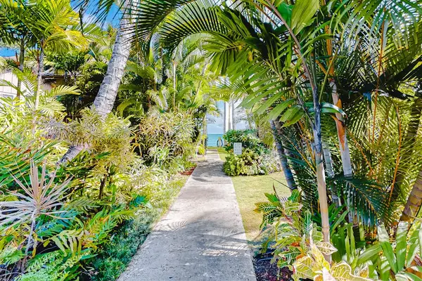 Tropical Walkway Through Paradise