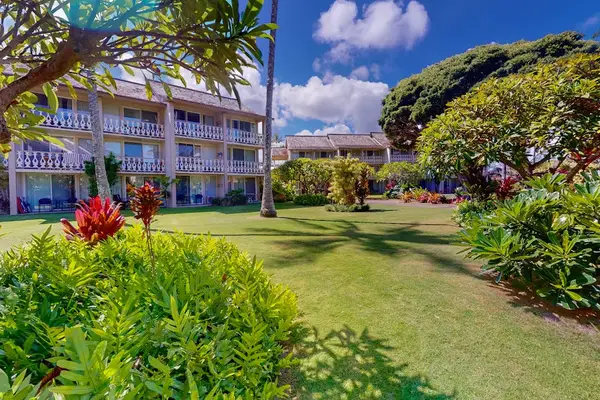 Lush Tropical Landscaping Embracing The Property