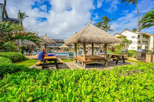☀️ Relax Beneath the Palms