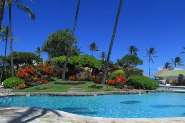 Tropical Pool Paradise Awaits