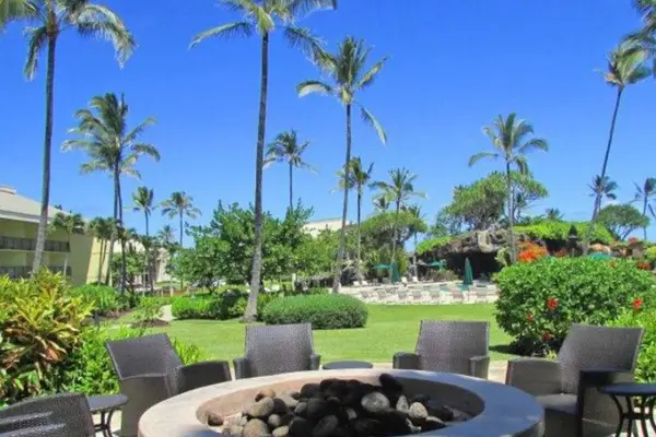 Gather Around The Fire Pit