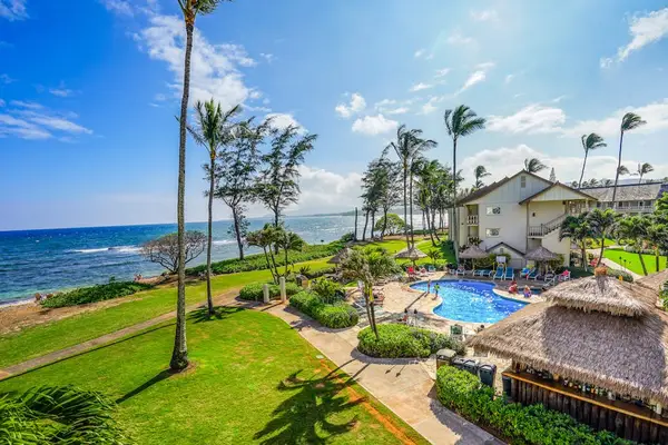 Lush Palms Framework Your Island Escape