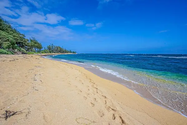 Endless Sandy Beach Waiting To Be Explored