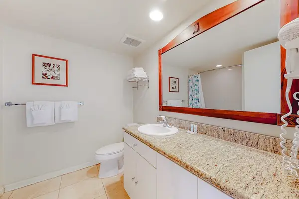 Spa-Inspired Bathroom Retreat