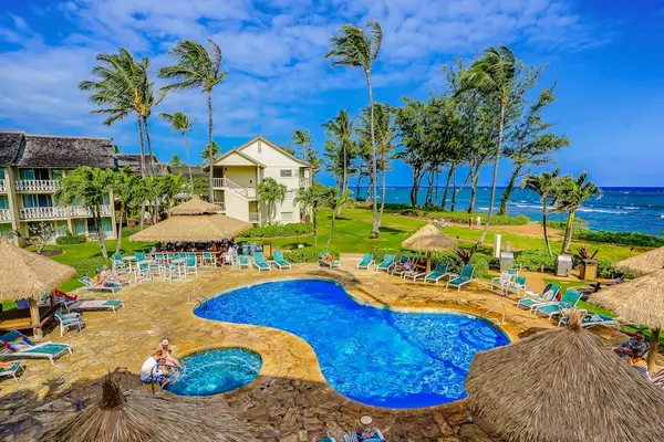 Lagoon-Style Pool Paradise