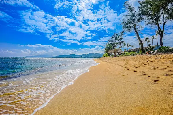 Endless Golden Sands Await