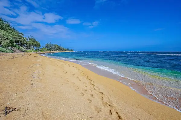 Endless Golden Sands Await