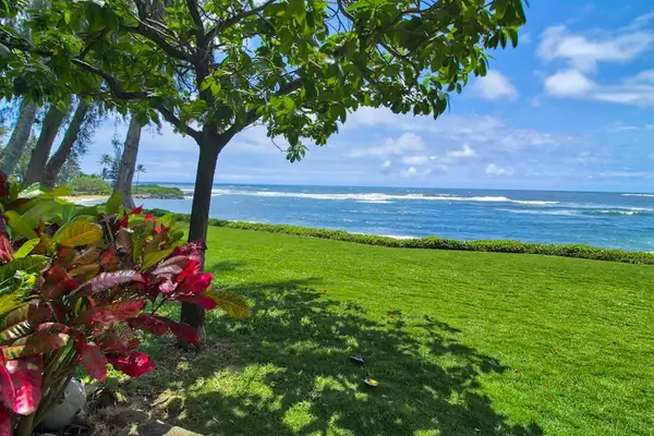 Oceanfront Lawn Framed By Tropical Trees