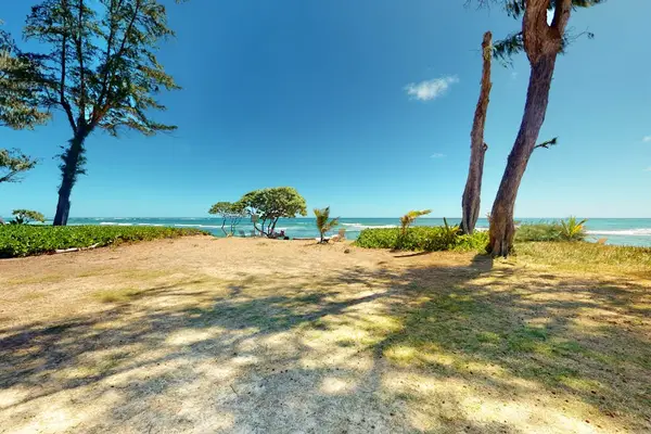 Resort grounds with lush green lawns and swaying palm trees.