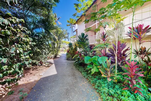 Beautiful Front Yard Garden
