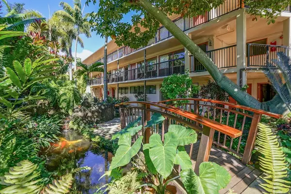 Lush Tropical Gardens All Around