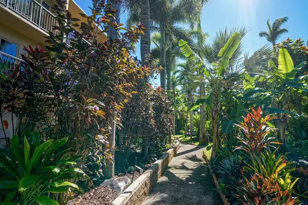 Scenic Path Through Tropical Paradise
