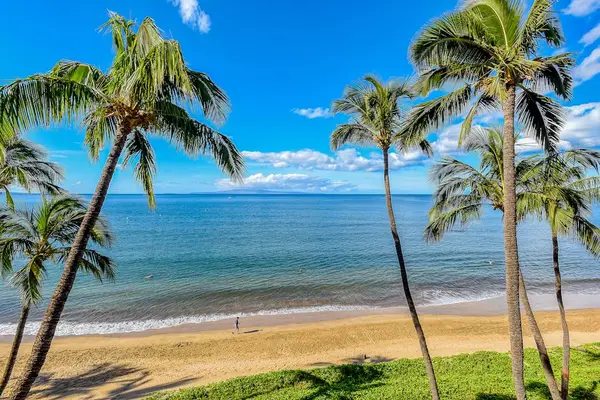 Palm Framed Beachfront Paradise