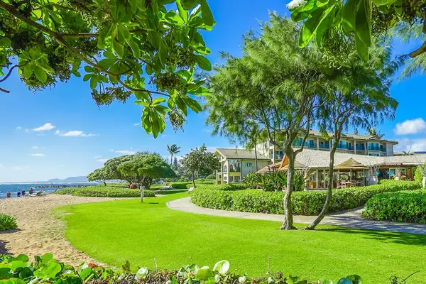 Lush Tropical Backyard With Peaceful Island Views