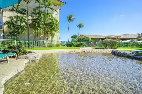 Peaceful Water Feature With Tropical Surroundings