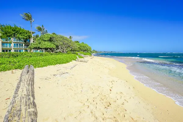 Expansive Backyard Leading To The Beautiful Beach