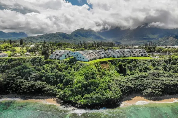 Spectacular aerial perspective of Kauai's lush coastline