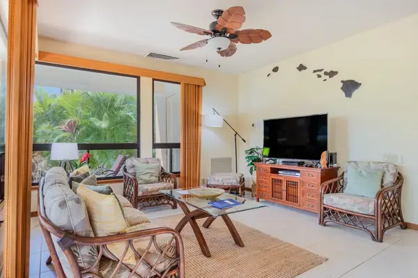 Sunlit Living Area Framed by Large Bright Tropical Windows