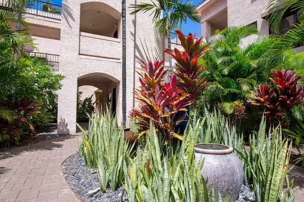 Tropical Garden Walkway & Archway Leading to Guest Suites