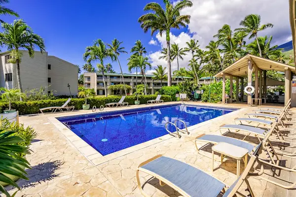 Sunny resort pool with palm trees, loungers, and shaded seating