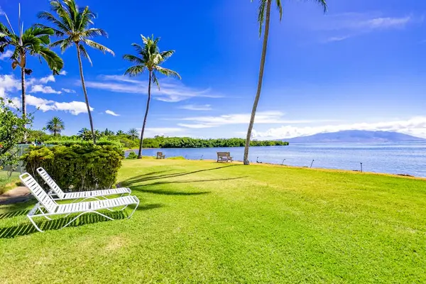 Lawn seating area overlooks the ocean beneath swaying palm trees