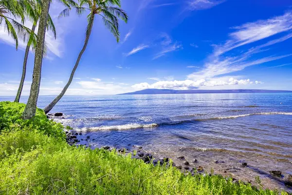 Coastal shoreline framed by palms, greenery, and brilliant blue skies