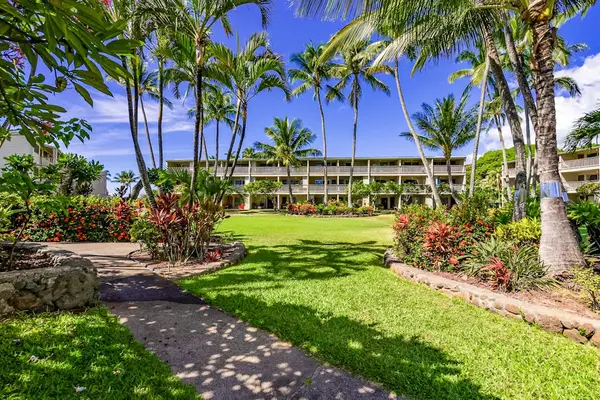 Palm-lined resort pathway winds through gardens beside ocean-facing guest accommodations