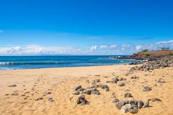 Unwind in a tropical island setting filled with natural beauty and serene outdoor spaces