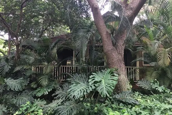 Bright outdoor surroundings showcase palms gardens and resort pathways