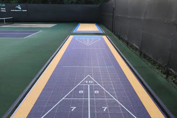 Classic Shuffleboard Challenge
