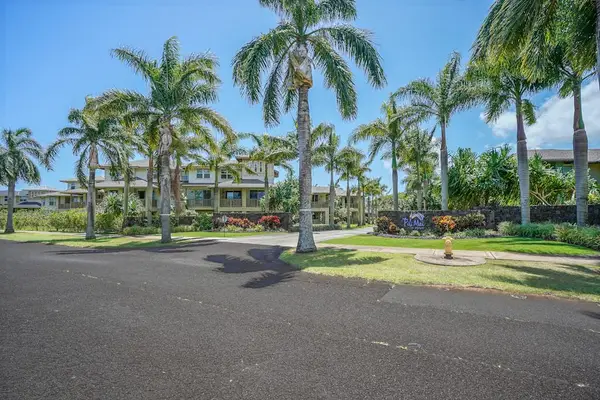 Palm Lined Resort Entrance