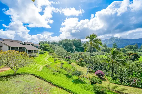 Take in expansive tropical scenery framed by beautiful green mountains