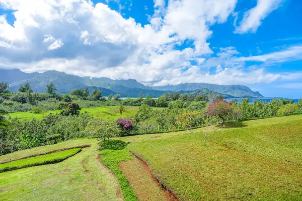 Beautiful mountain scenery stretches across the lush tropical landscape nearby