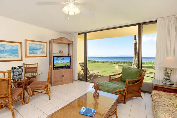 Open Living Area With Scenic Views